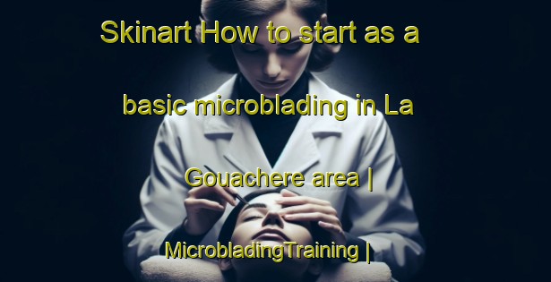 Skinart How to start as a basic microblading in La Gouachere area | MicrobladingTraining | MicrobladingClasses | SkinartTraining-France